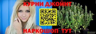 СК Гай