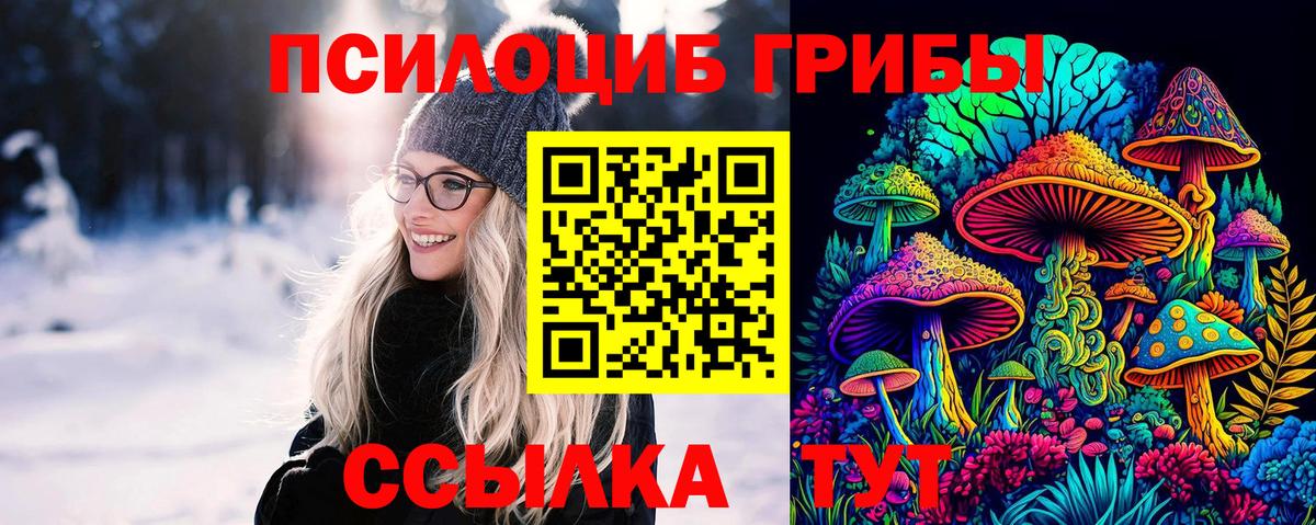 Галлюциногенные грибы GOLDEN TEACHER  Вход с VPN  Вологда 