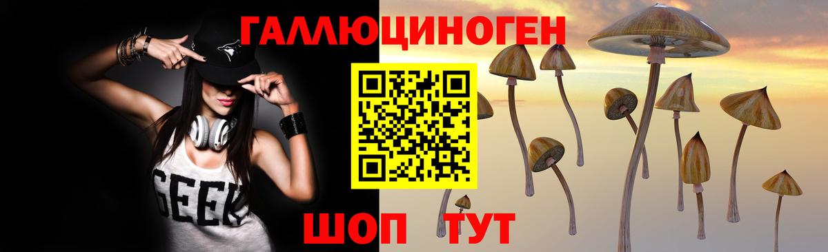 Псилоцибиновые грибы мухоморы Вологда
